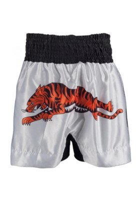 MMA Shorts