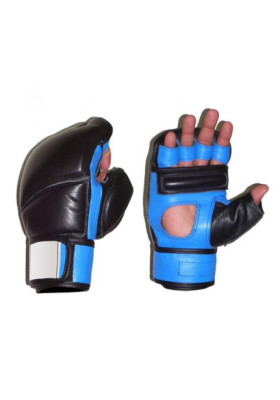 MMA Gloves