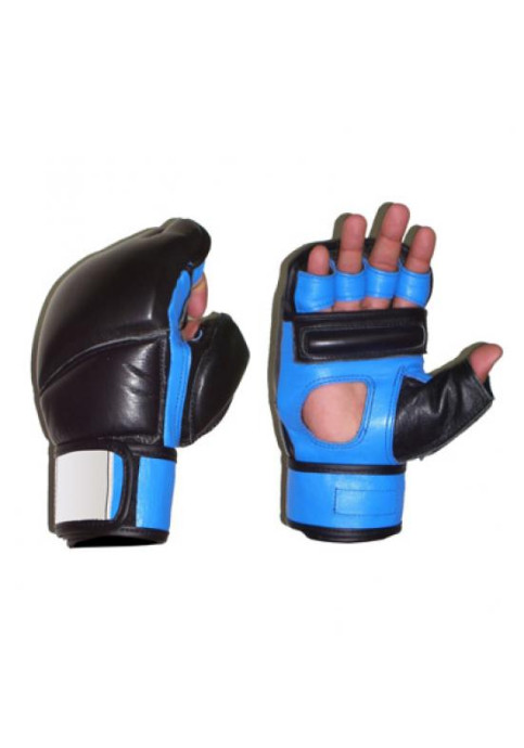 MMA Gloves